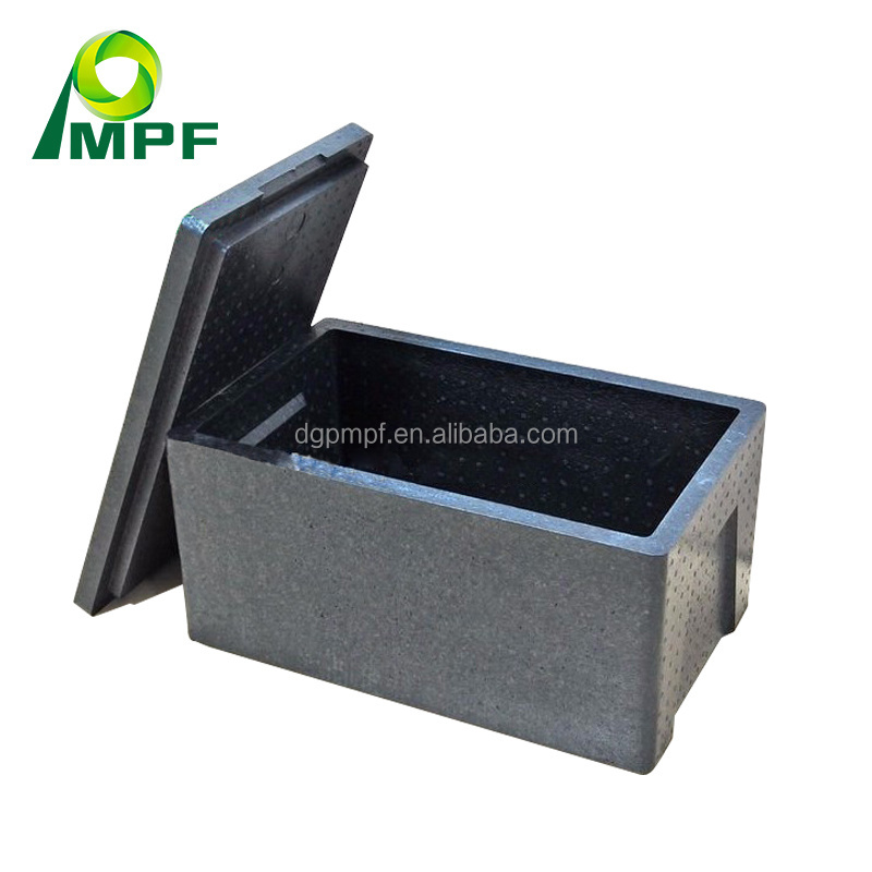 Expanded Polystyrene EPS foam packaging