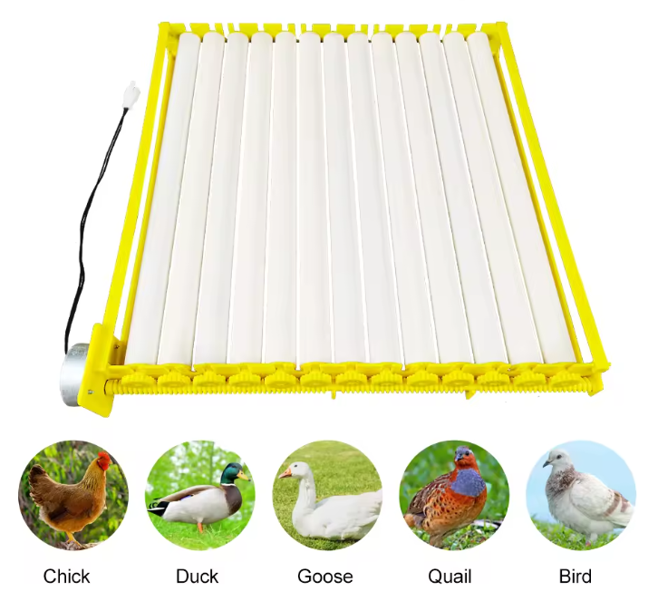 AC Automatic Small Egg Incubator Raising Young Birds Incubator 48 132 Pet Birds Hatching Eggs Parrot Finch Chicken Duck Goose