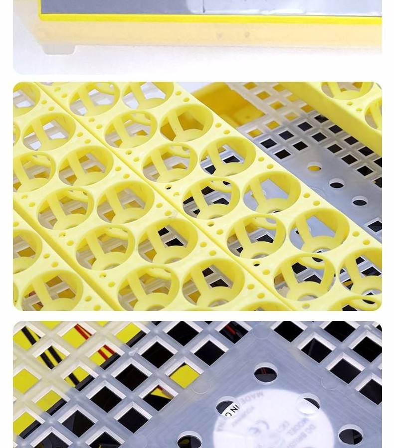 EW-5648 Pet Birds Hatching Eggs Parrot Finch Chicken Duck Goose  Automatic Small Egg Incubator Raising Young Birds Incubator