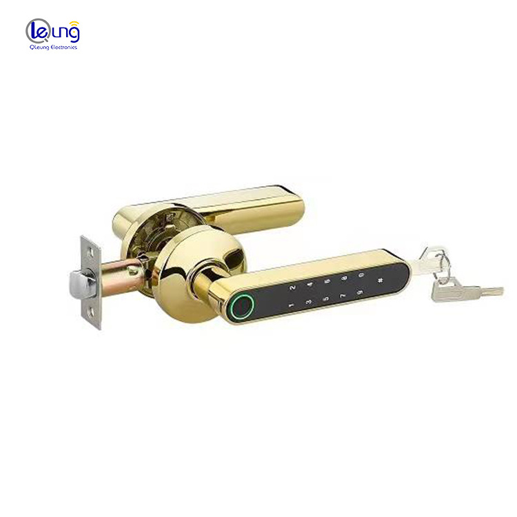 QLEUNG S604 Smart Home Electronic Tuya BLE Lock Fingerprint Password Digital Door Lock For Bedroom