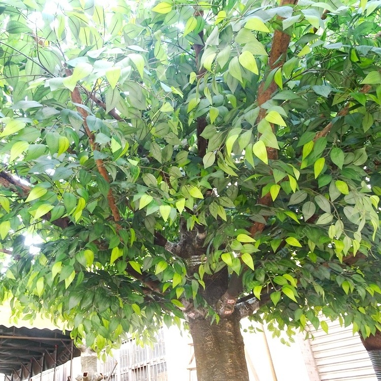 Large indoor artificial ficus tree banyan ficus tree for garden decoration