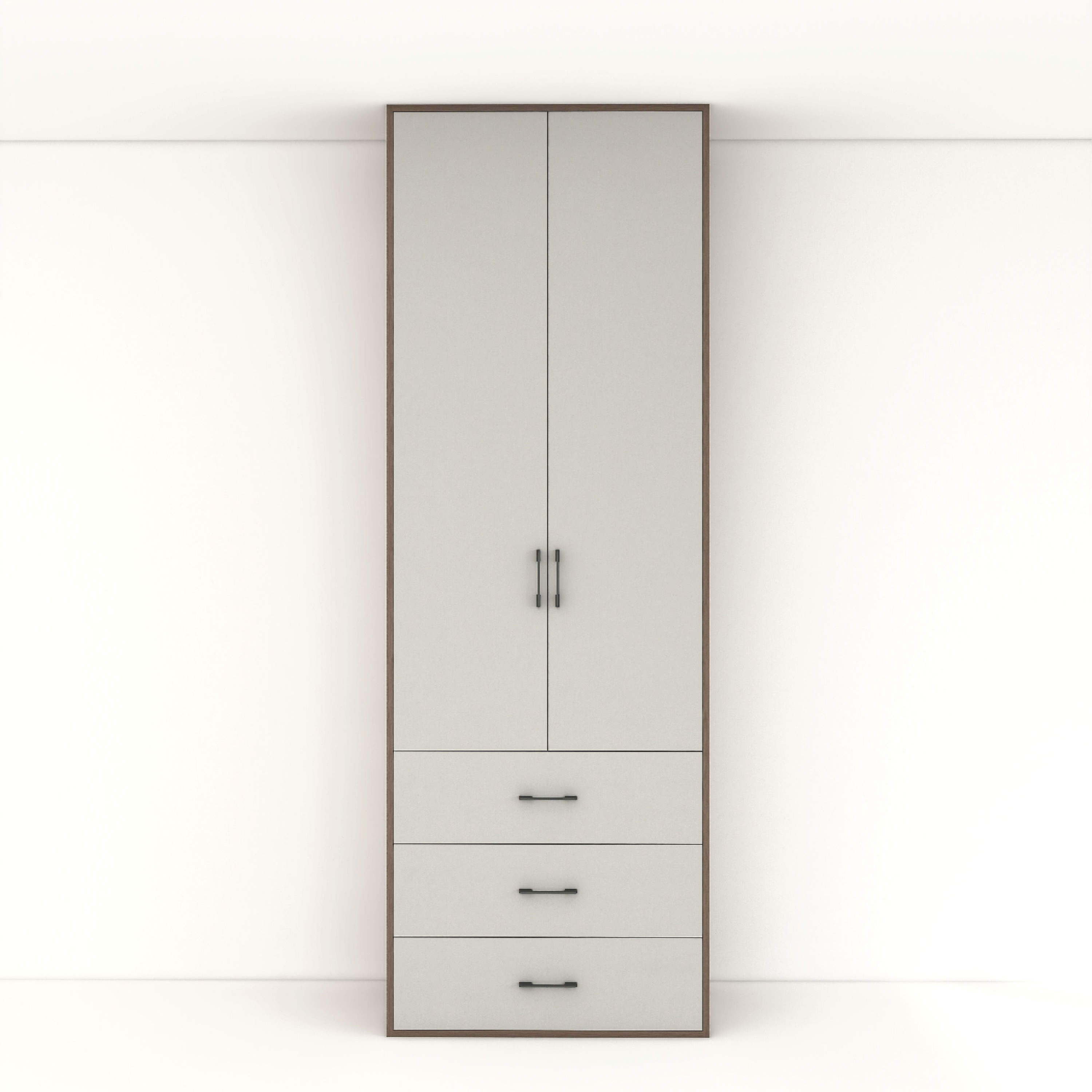 Light Luxury Style Design Factory Supplies Multifunctional Paint Cabinets, 2-door Bedroom, Professional Wardrobe