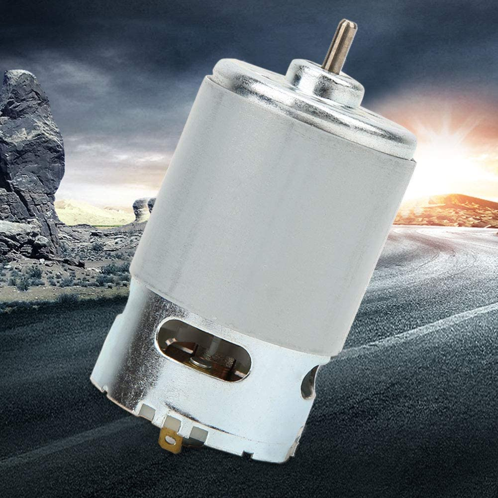 DC Motor 12V 24V Permanent Magnet Mini Brush Motors Small Electric Motor for Coffee Grinder and Food Blender