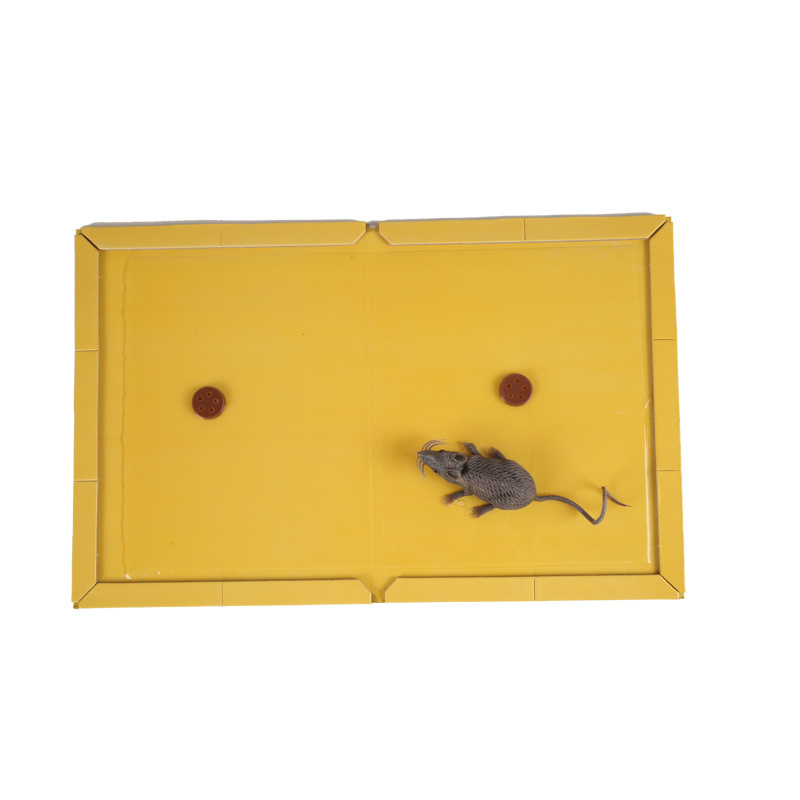 Wholesale Customized Indoor Outdoor Sticky Large Mouse Glue Trap