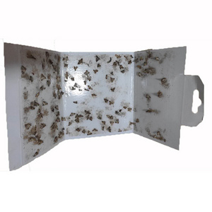 Friendly Design Fly Glue Trap Easy Set Indoor Flying Insect Trap Pantry Moth Trap