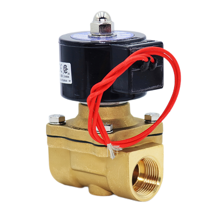 Custom stainless steel/brass 2-inch 12V 24V 220V water, oil, steam solenoid valves