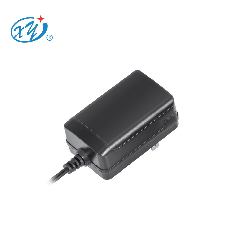 100-240v 50-60hz 12v 2a AC DC Power Supply intertek power adapter 24v1a ac adaptor