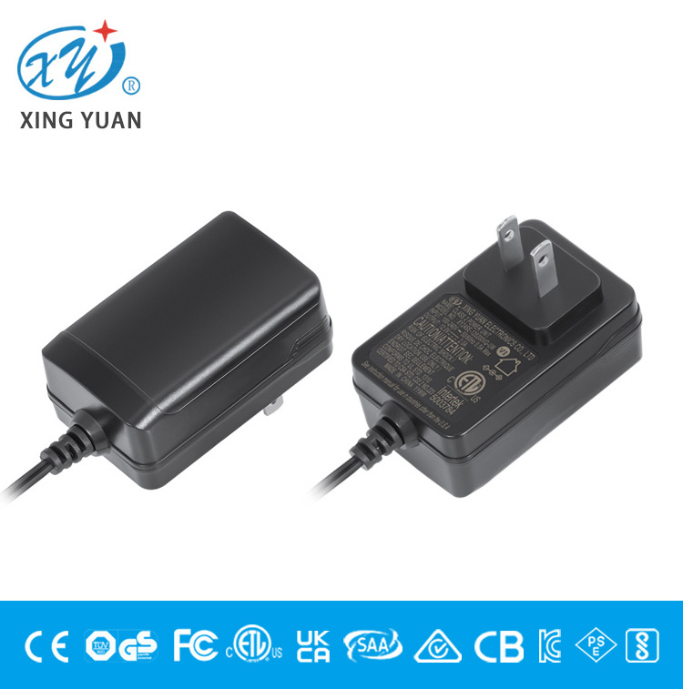 100-240v 50-60hz 12v 2a AC DC Power Supply intertek power adapter 24v1a ac adaptor