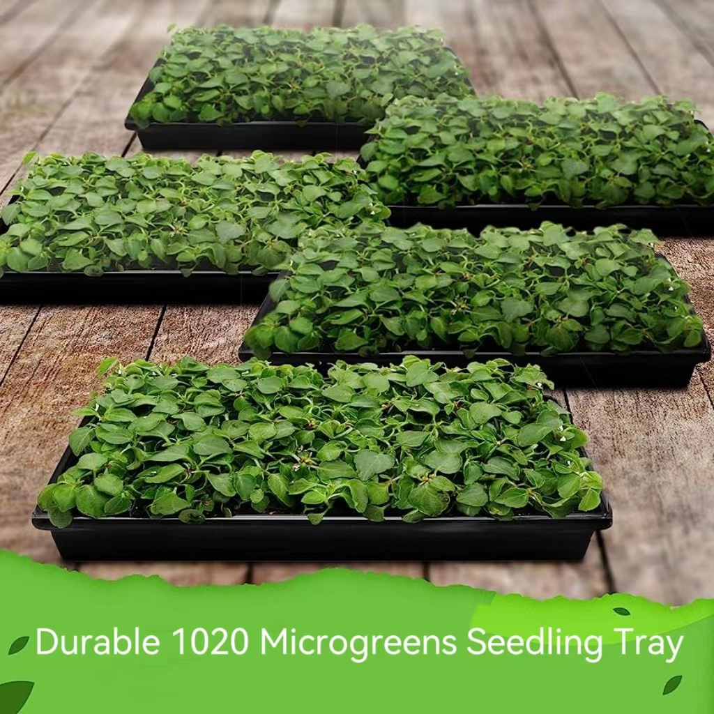 1020 Plant Germination Trays Seed Starting Seeding Nursery Trays Growing Tree Seedling Trays Wholesale