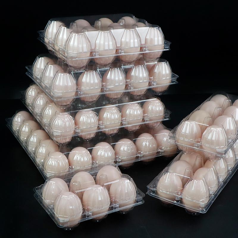 Biodegradable Egg Holder Packaging Egg Plastic Box Pet Egg Trays For Sale