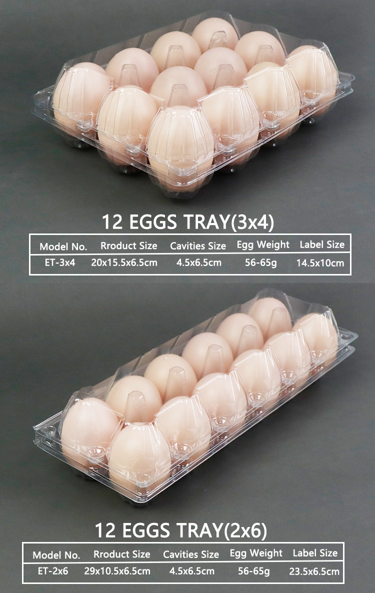 Recyclable 12 Cells Clear Eggs Container Plastic Egg Tray Plastic Packaging For Eggs