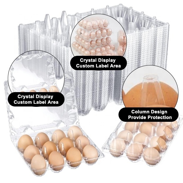 Egg Cartons 12 Cell Plastic Egg Cartons With 12 Holes 3X4 Egg Carton