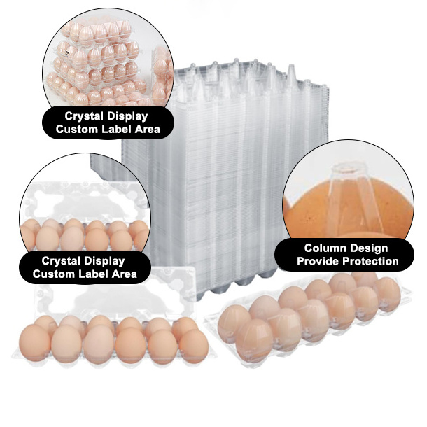 Recyclable 12 Cells Clear Eggs Container Plastic Egg Tray Plastic Packaging For Eggs