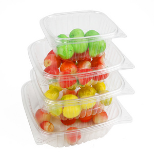 8oz 12oz 16oz 24oz 32oz 48oz Reusable Clear Plastic PET Hinged Clamshell Fruit Salad Box Packaging Deli Food Container