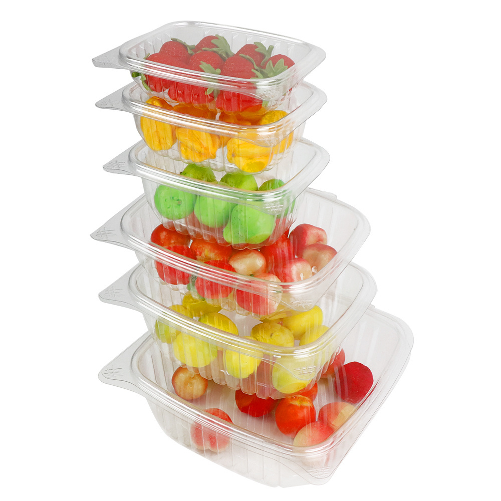 8oz 12oz 16oz 24oz 32oz 48oz Reusable Clear Plastic PET Hinged Clamshell Fruit Salad Box Packaging Deli Food Container