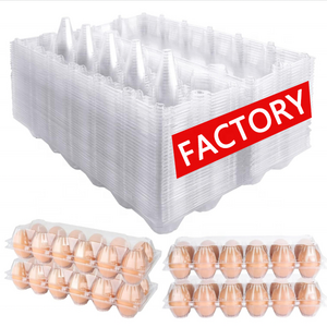 Recyclable 12 Cells Clear Eggs Container Plastic Egg Tray Plastic Packaging For Eggs