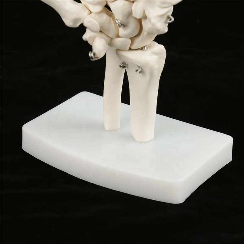 production PVC Hand Skeleton Model Teaching Anatomical Hand Joint Custom Made Artificial Life-Size Human Hand Joint Model