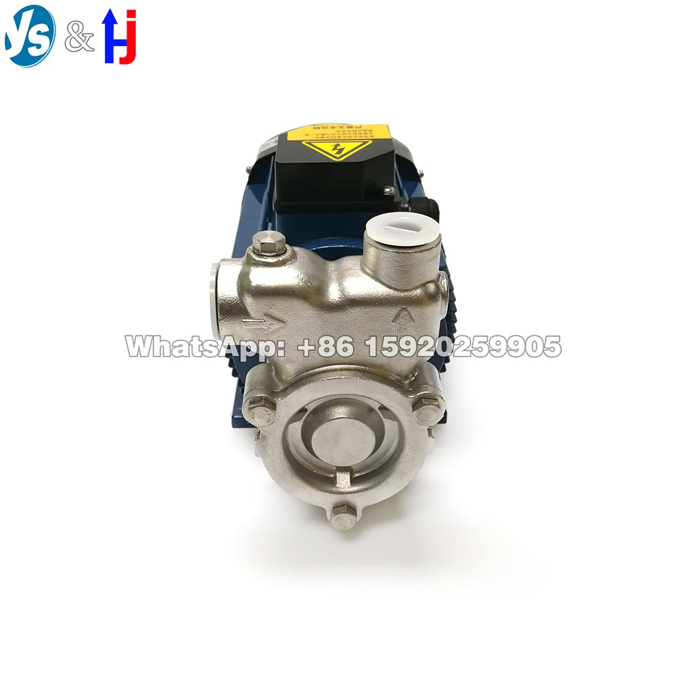 Hot Sale YS 1.1 kW 3 m3/h Ozone Water Mixing Pump, Pond or Lake Purification Pump