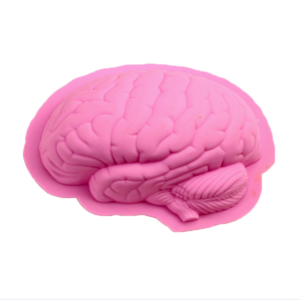 Factory Customization Food Grade Half-brain Shape Cake Mold Heat Resistant Pink Baking Halloween Silicone Mold