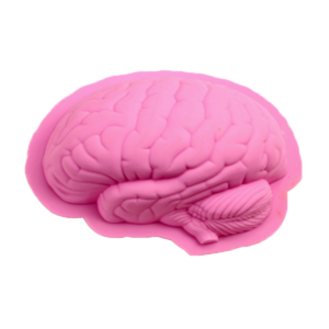 Brain Handmade Silicon Cake Mold OEM Customized Logo Printing Cake Tools Food Grade Pink Silicone Cake Mold