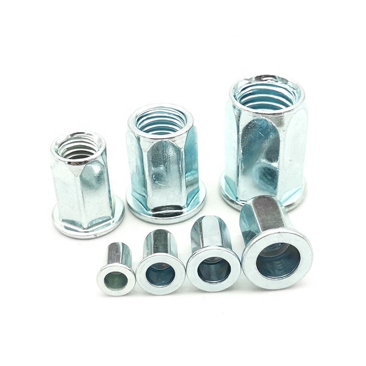 High Quality M2 M3 M4 M5 M6 M8 M10 1/4 5/16 3/8 Stainless Steel Carbon Steel Rivnut Flat Head Countersunk Head Hex Rivet Nut