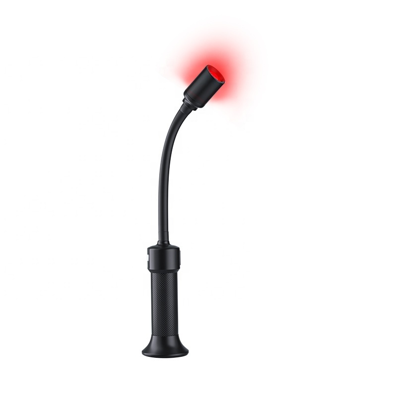 9 LED Red Flashlight for Astronomy Night Vision for Camping and Hunting with US Plug Features Acne Treatment