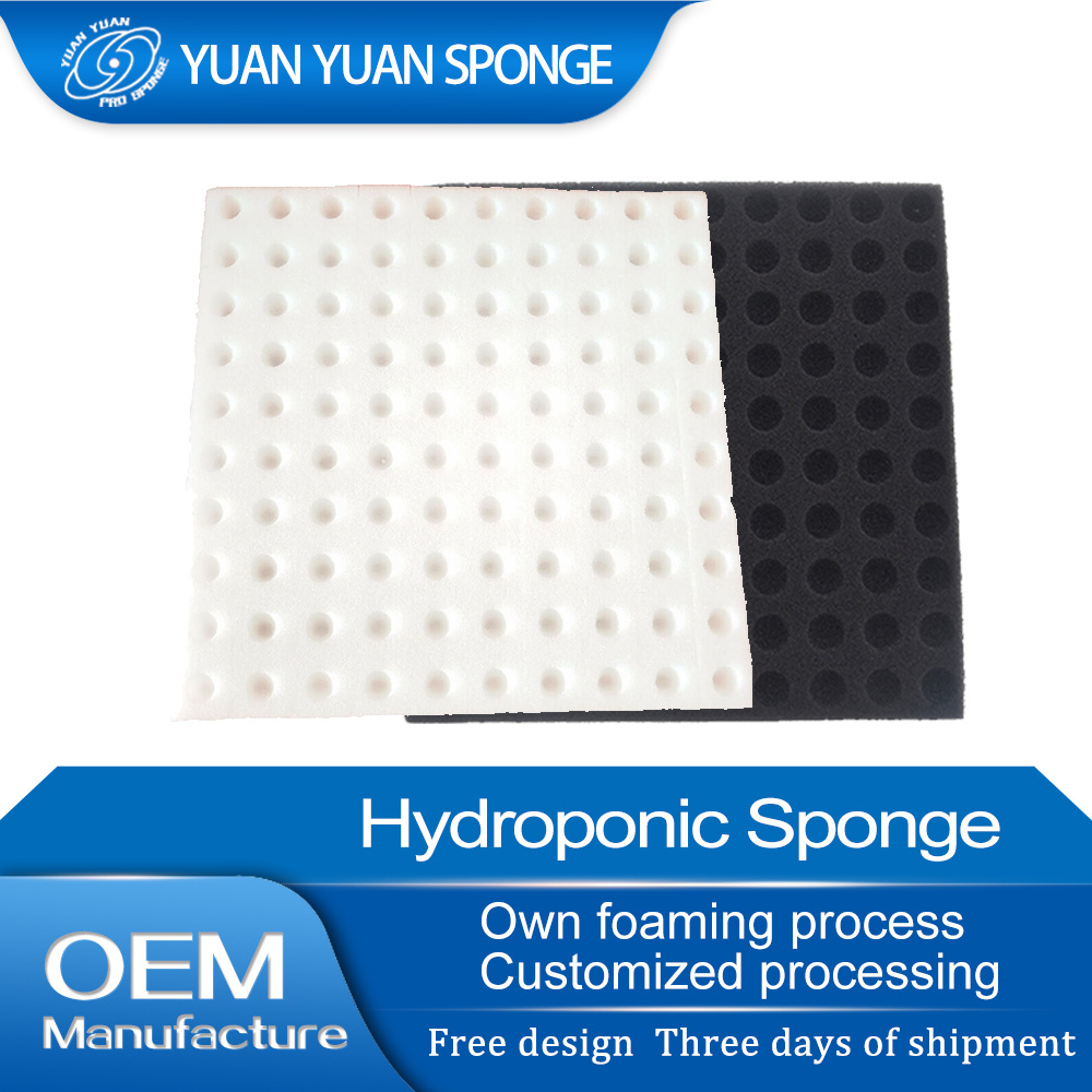 Factory Direct Selling Soiless Culture Seeding Planting Sponge Germination Seed Foam