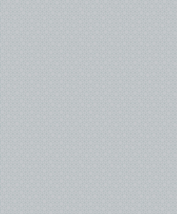 Grey Modern Design Non Woven Wallpaper