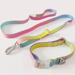 Custom Fashion Silicone Tpu Pvc Waterproof Dog Collar And Leash Set With Heat Transfer Logo On Strong Nylon Strap