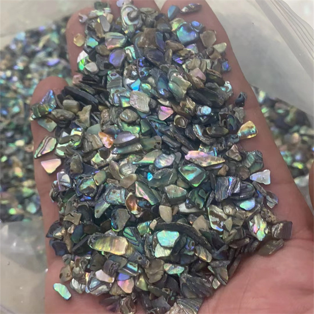 New arrivals polished New Zealand paua crystals gravels healing stones bulk natural abalone shell crystal chips for Decor