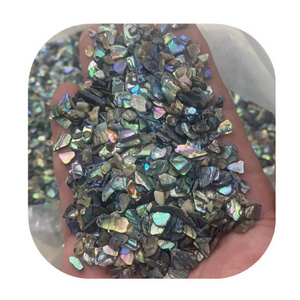 New arrivals polished New Zealand paua crystals gravels healing stones bulk natural abalone shell crystal chips for Decor