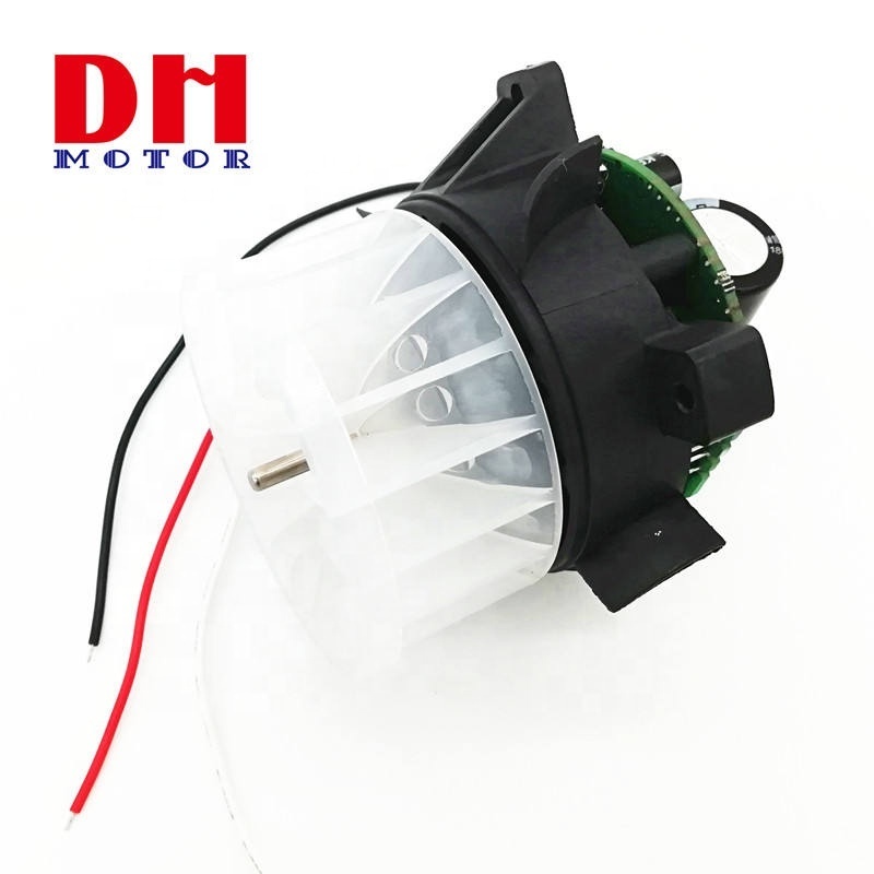 High Torque Long Life High Speed B50 Brushless Dc Motors For hair dryer