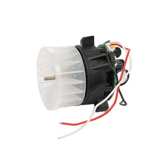 High Torque Long Life High Speed B50 Brushless Dc Motors For hair dryer