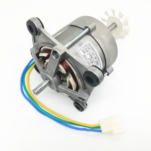 1000W 24V 230V low noise brushless motor for blender