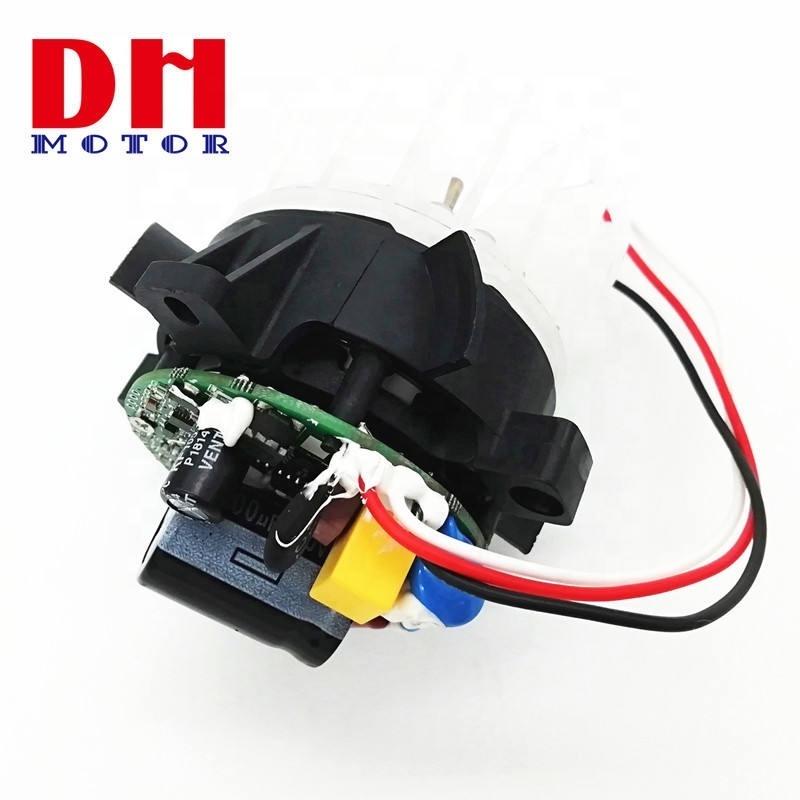 High Torque Long Life High Speed B50 Brushless Dc Motors For hair dryer