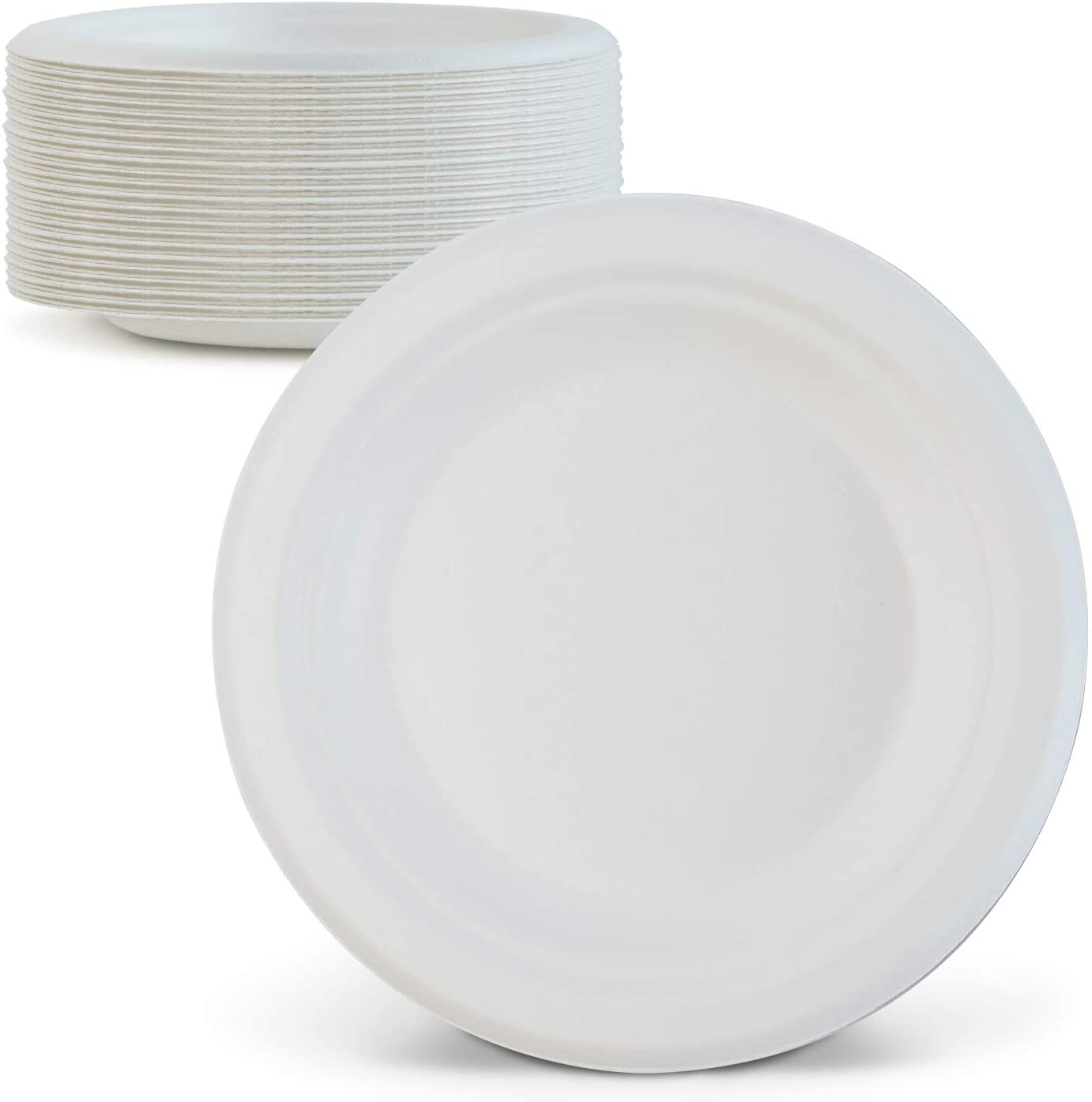 Wholesale Customized Disposable Bagasse Tableware Pulp 8inch 9 inch 10 inch Food Packaging Sugarcane Paper Plate