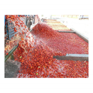 Euro-standard Tomato Puree Tomato Processing Line Tomato Catsup Making Machine 6000bottles/h