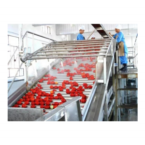 Tomato processing machine/tomato pulper/tomato sauce making machine