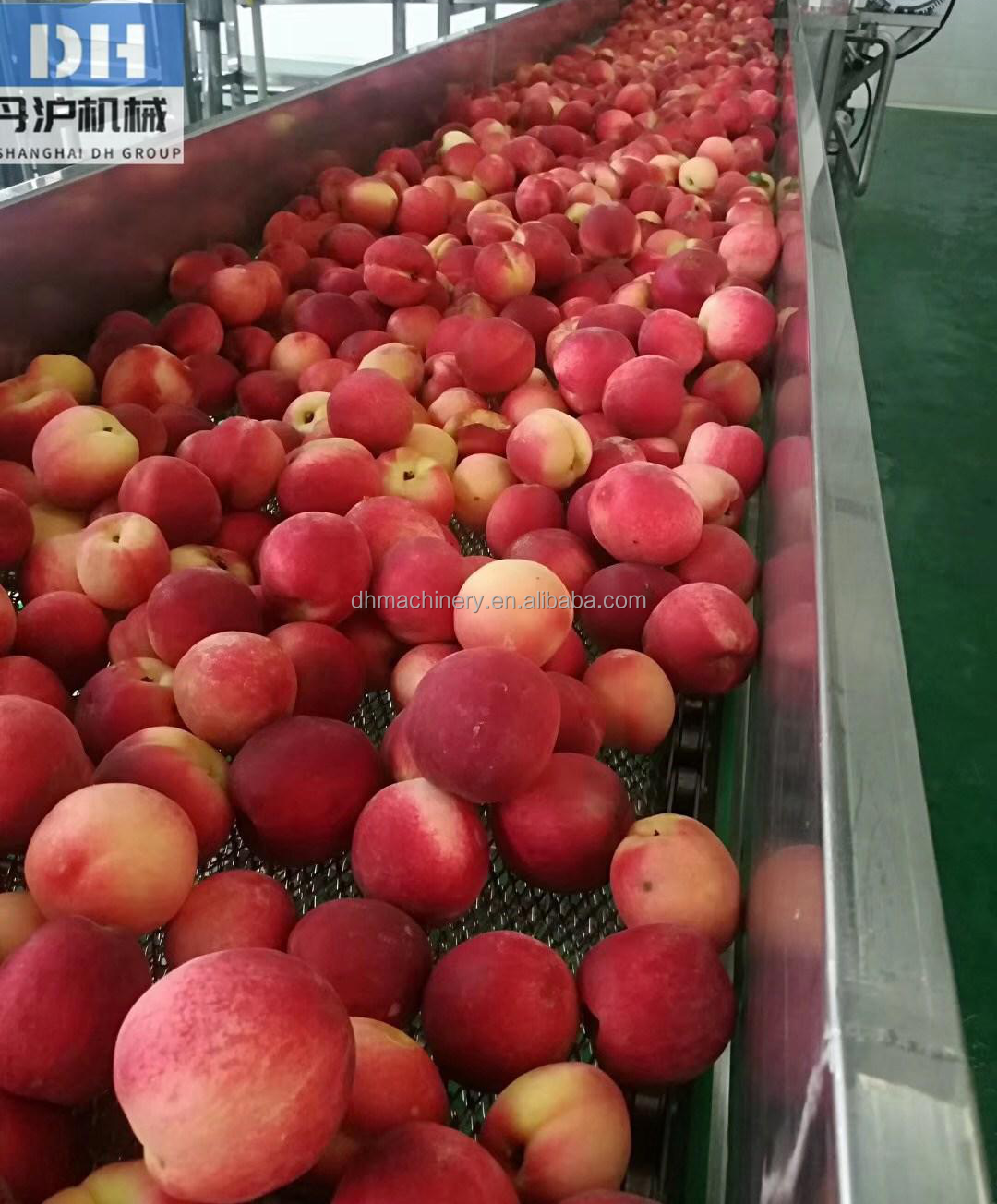 Small scale tomato apple apricot mango fruit puree making machine production line plant