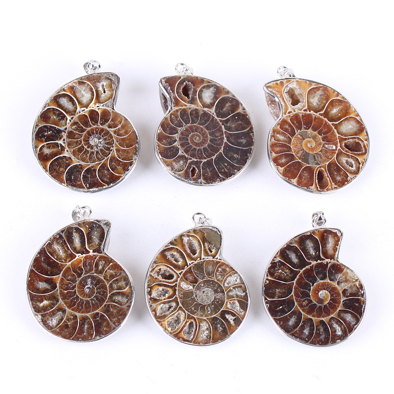 Wholesale Natural Fossils Conch Pendant Ammonite Agate Slices Pendant For Necklace