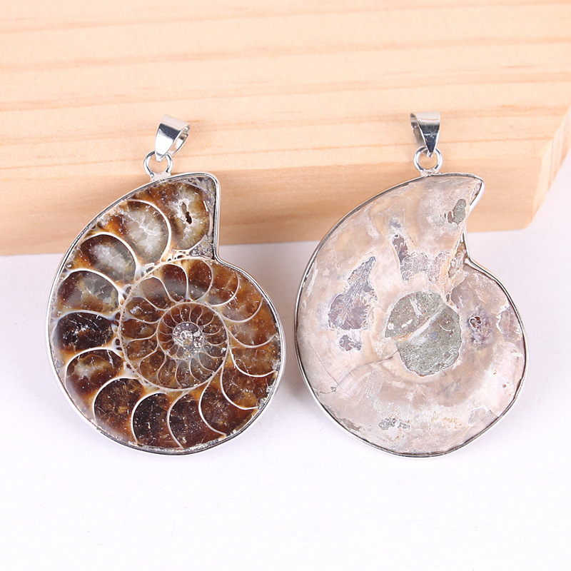 Wholesale Natural Fossils Conch Pendant Ammonite Agate Slices Pendant For Necklace