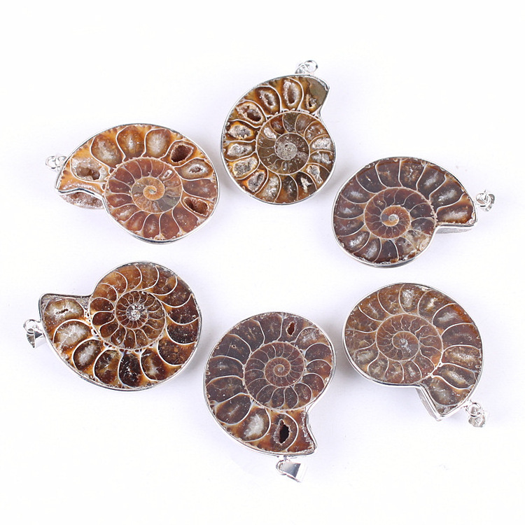 Wholesale Natural Fossils Conch Pendant Ammonite Agate Slices Pendant For Necklace