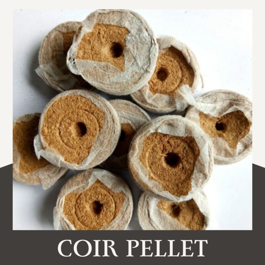 Hot selling from Vietnam coconut coir pellets coco peat plugs for growing seeds plants flowers DHT HANDICRAFT