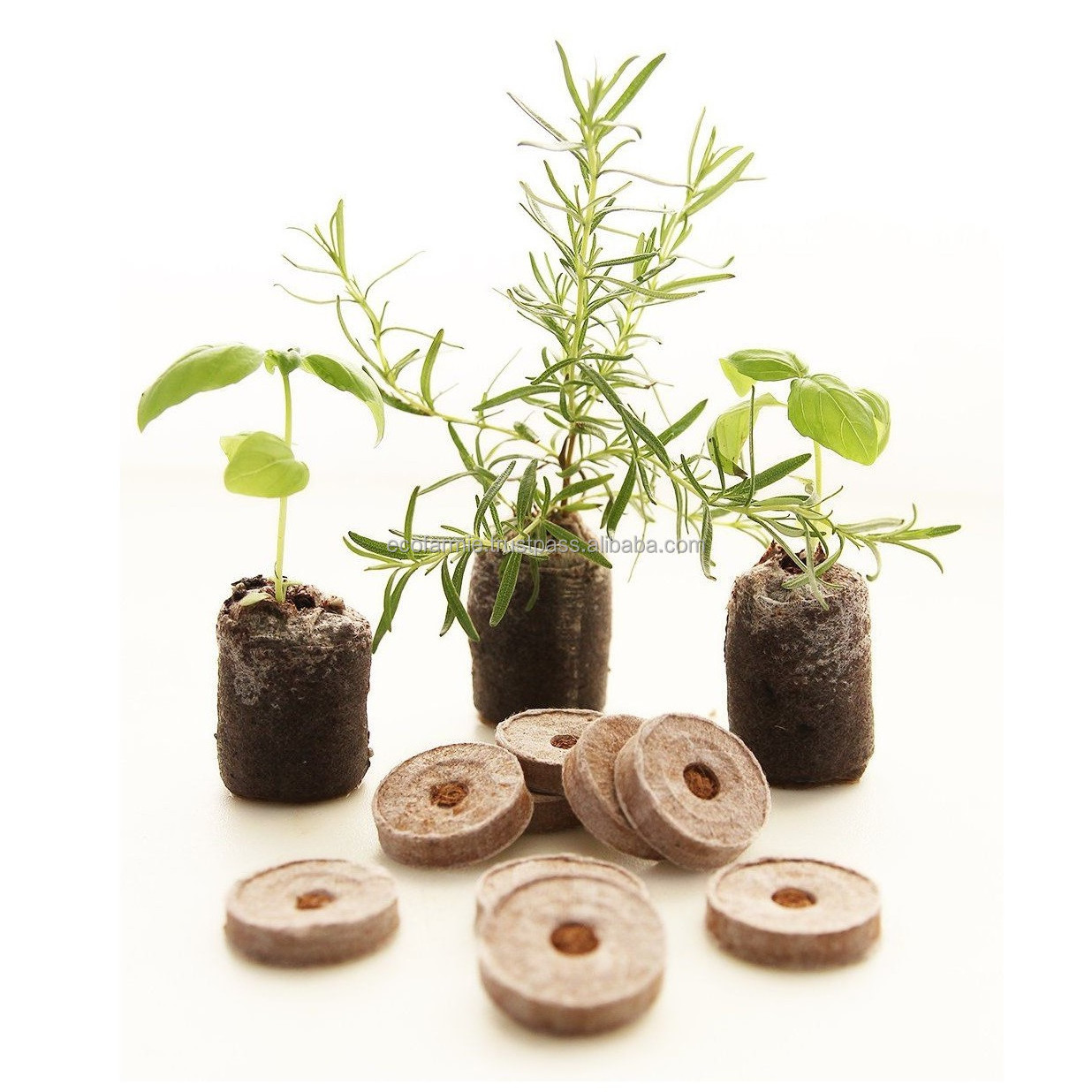 Hot selling from Vietnam coconut coir pellets coco peat plugs for growing seeds plants flowers DHT HANDICRAFT