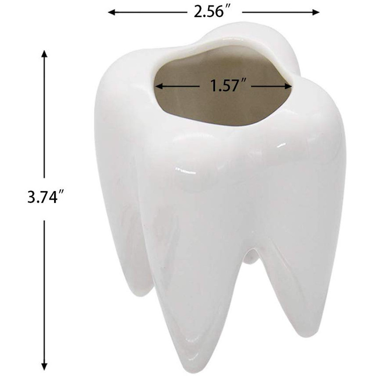 New style ceramic personalized pen holder with tooth shape,Ceramic tooth pencil holder