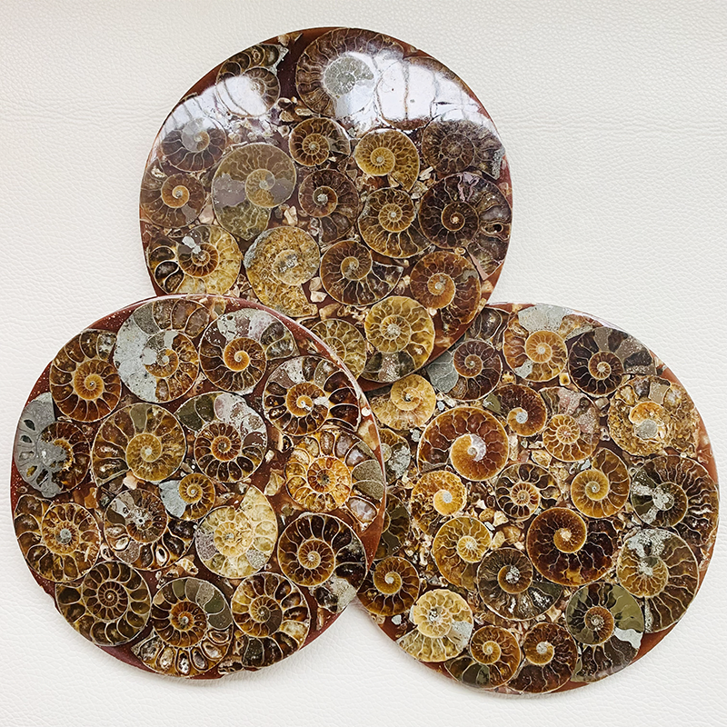 Wholesale price natural crystal decoration gift ammonite fossils coaster