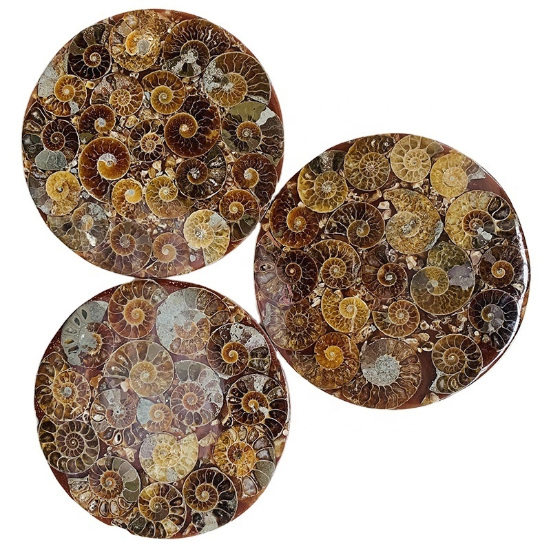 Wholesale price natural crystal decoration gift ammonite fossils coaster