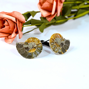 Natural stone healing crystal polished ammonite fossil quartz crystal air conditioner clip for car decoration