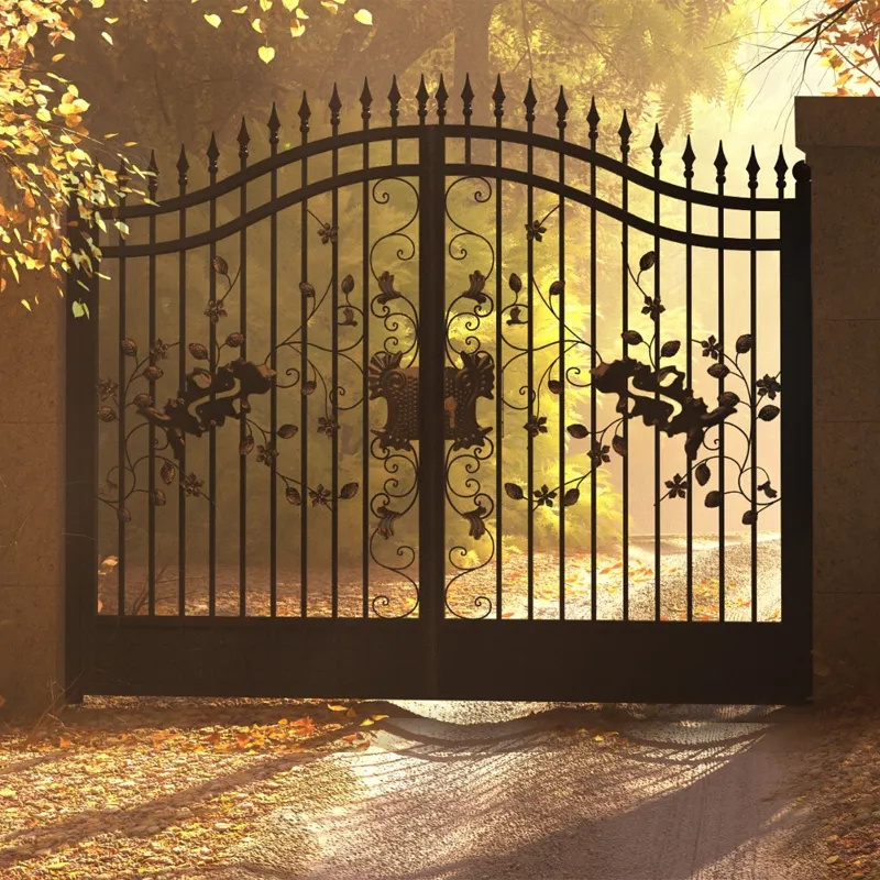 Best Seller Cheap Gates Wrought Double Swing Iron Gate