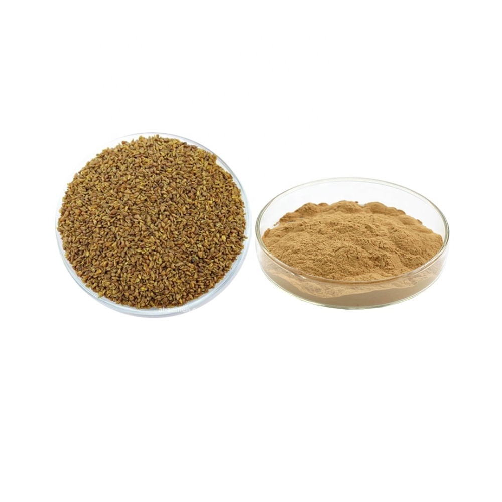 Wild Buck wheat Rhizome Extract powder 20:1Oat Straw Extract Rhizoma Fagopyri Cymosi Extract